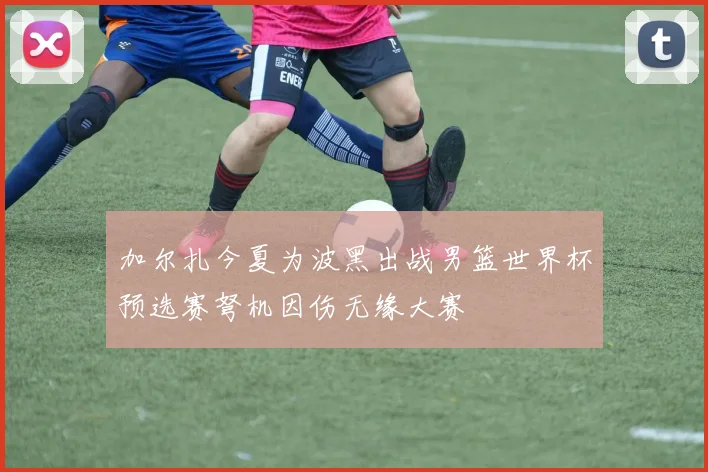 加尔扎今夏为波黑出战男篮世界杯预选赛弩机因伤无缘大赛